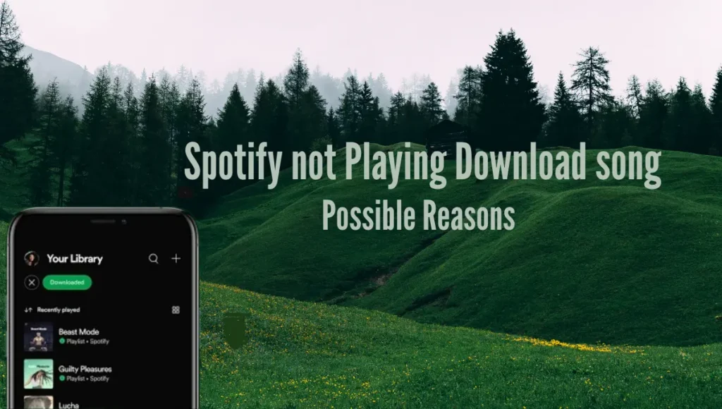 Part One: Why Can’t I Play My Downloaded Songs on Spotify Offline
